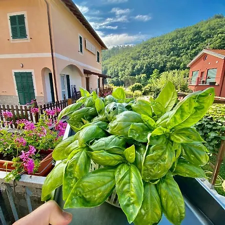 Da Marco Hotel Pignone