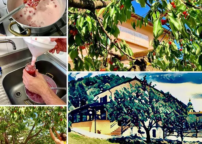 Da Marco Hotel Pignone