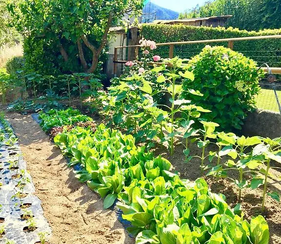 Da Marco Hotel Pignone