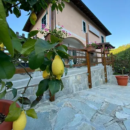 Da Marco فندق بيغنون