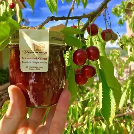 Da Marco Отель 2*