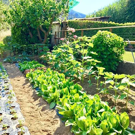 Da Marco فندق بيغنون