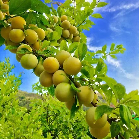 Da Marco فندق 2*