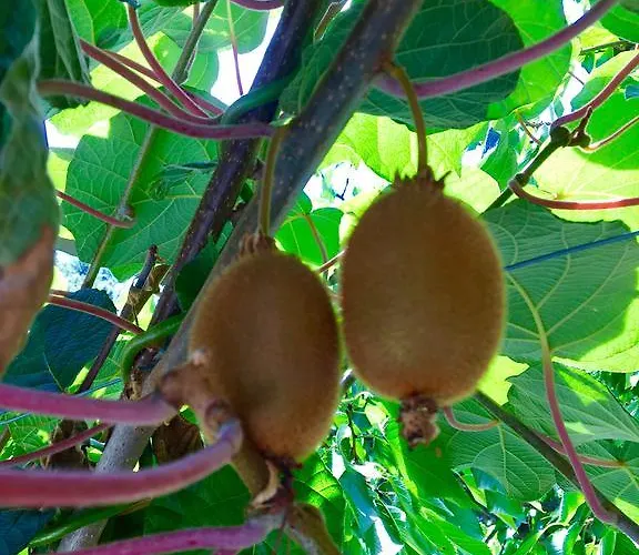 Hotel Da Marco Pignone